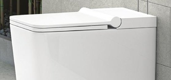 Tankless S2 Wall Mount Toilet