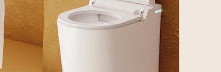 Wall Mounted Water Closet