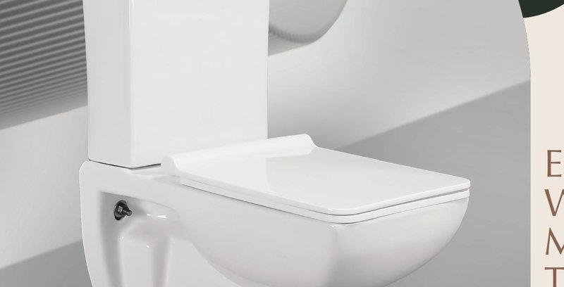 Extended Wall Mounted Toilet