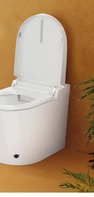 Smart Toilet