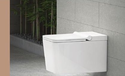 Tankless Water Closet