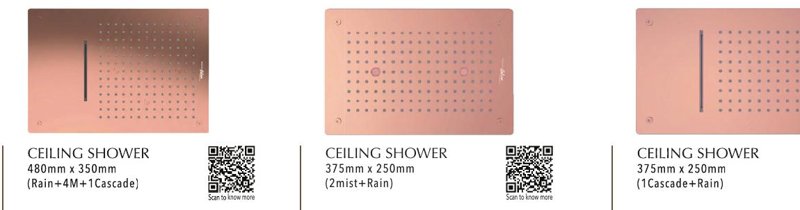 CEILING SHOWER