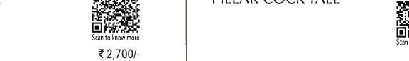BIB COCK WITH WALL FLANGE