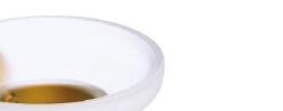 SOAP DISH