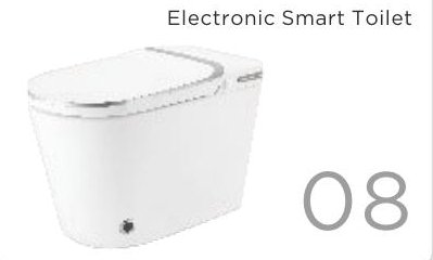 Electronic Smart Toilet
