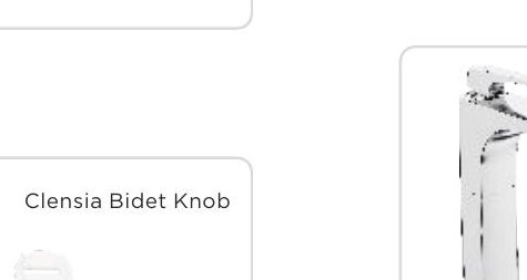 Clensia Bidet Knob