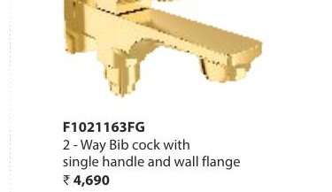 2-Way Bib cock with single handle and wall flange