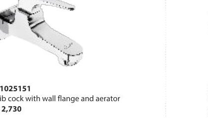 Bib cock with wall flange and aerator