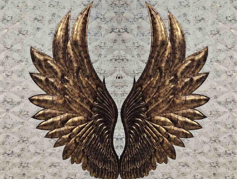 Wings 8x4 SET Of 2