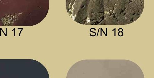 Fabrico S/N 14