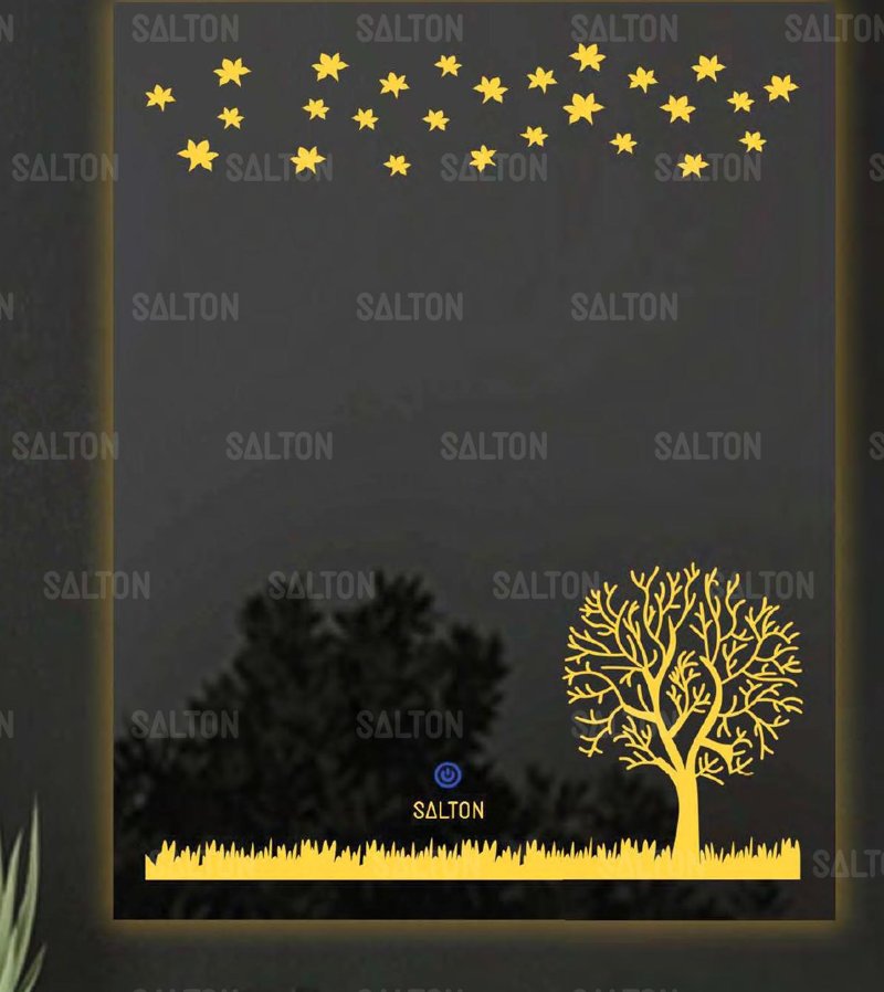 SALTON Mirror