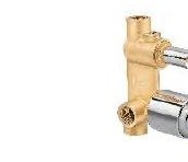 Single Lver Regular Conc Div Body