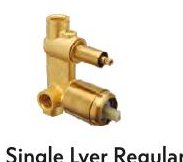 Single Lver Regular Conc Div Body