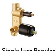 Single Lver Regular Conc Div Body