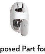 Exposed Part for Regular Diverter