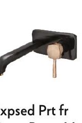 Expsed Prt fr Conc. Basin Mixer + Handle For SLBM WM