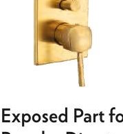 Exposed Part for Regular Diverter