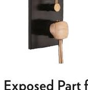 Exposed Part for Regular Diverter