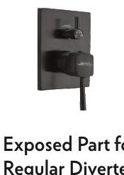 Exposed Part for Regular Diverter