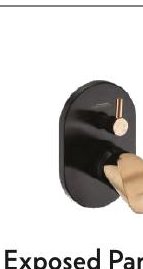 Exposed Part for Regular Diverter