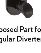Exposed Part for Regular Diverter