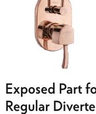 Exposed Part for Regular Diverter
