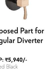 Exposed Part for Regular Diverter