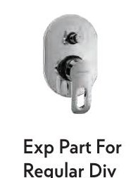 Exp Part For Regular Div