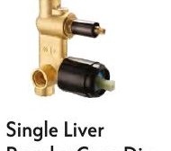 Single Liver Regular Conc Div Body
