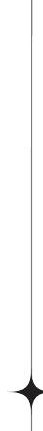 Wall Mixer non Telephonic