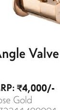 Angle Valve