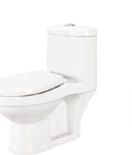 One Piece Toilet