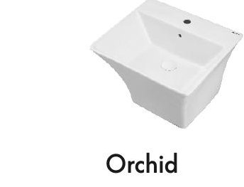 Orchid