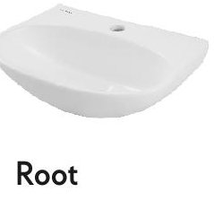 Root