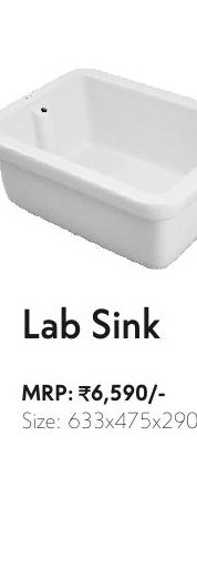 Lab Sink