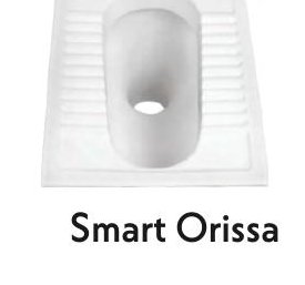 Smart Orissa
