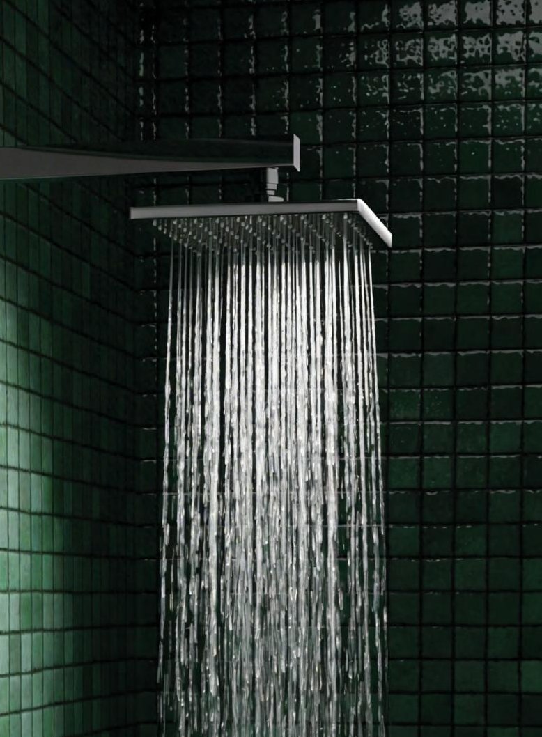 Shower Head