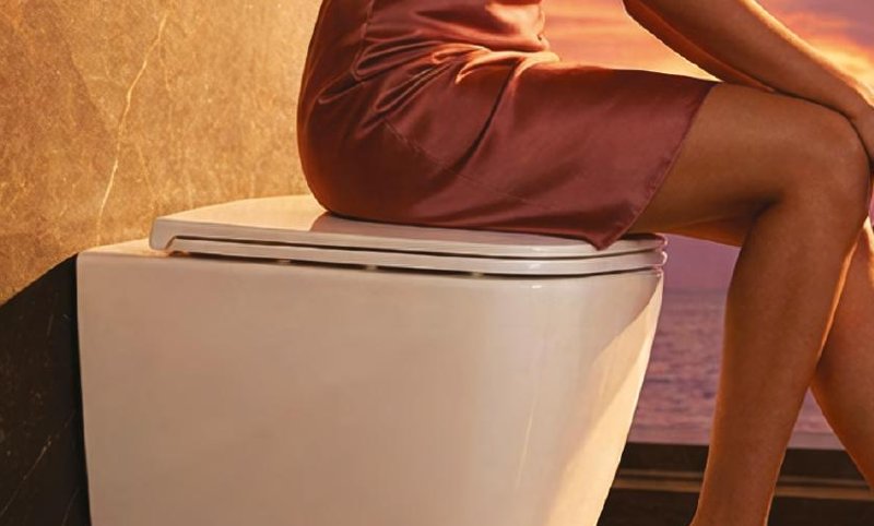 Wall Hung WC