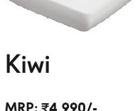 Kiwi