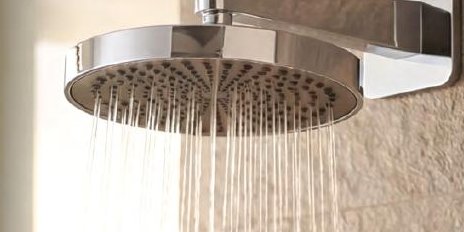 Shower Head with Arm