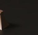 Single Robe Hook